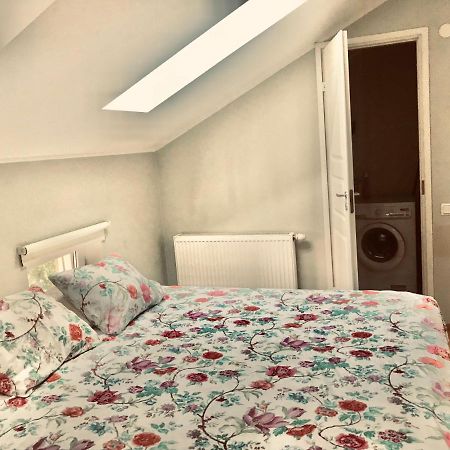 Cozy City Penthouse Apartment, Free Parking Tallinn Exteriör bild
